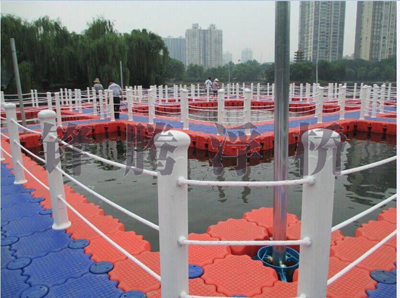 水上網(wǎng)箱養(yǎng)殖